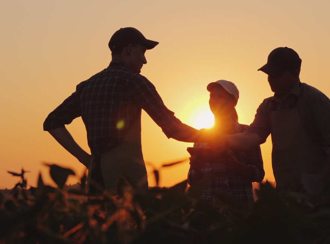 Family silhouetted in a field at sunset
